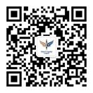 南宫NG28 Vision Plus Capital